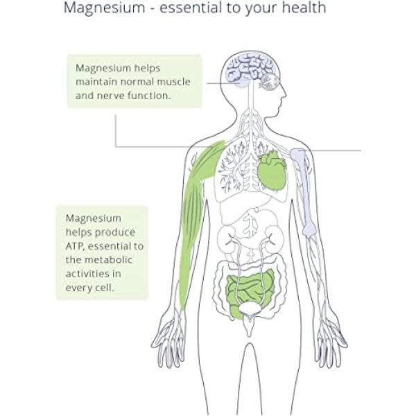 CanPrev - Pure Magnesium Bis-Glycinate 200mg (Gentle) | 240 v-caps | Elemental - Image 7