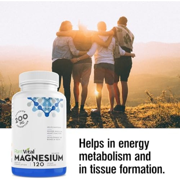 PlantVital Magnesium Bisglycinate 200mg Capsules -Magnesium Supplement - Image 5