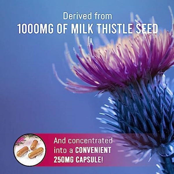 EBYSU Milk Thistle Capsules – Liver Support & Protectant – 4:1 Milk Thistle - Image 3