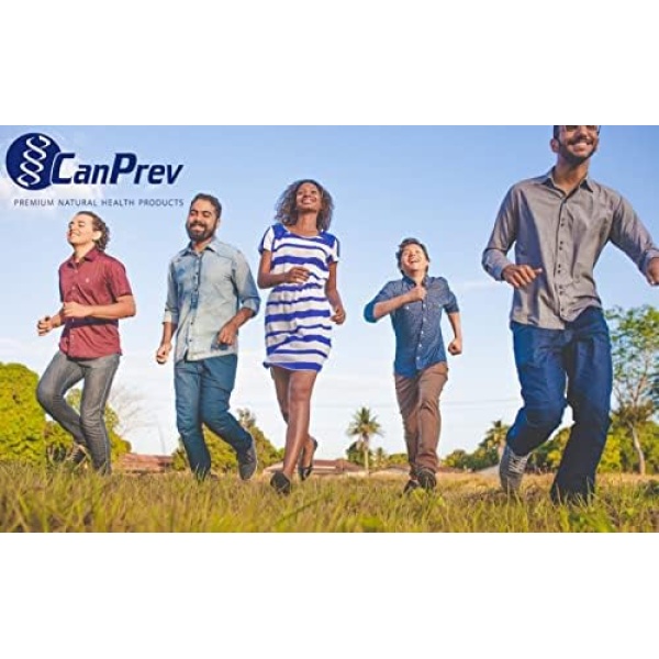 CanPrev Pro-Biotik 15B | 60 V-Caps I Helps Restore Natural Gut Flora - Image 5