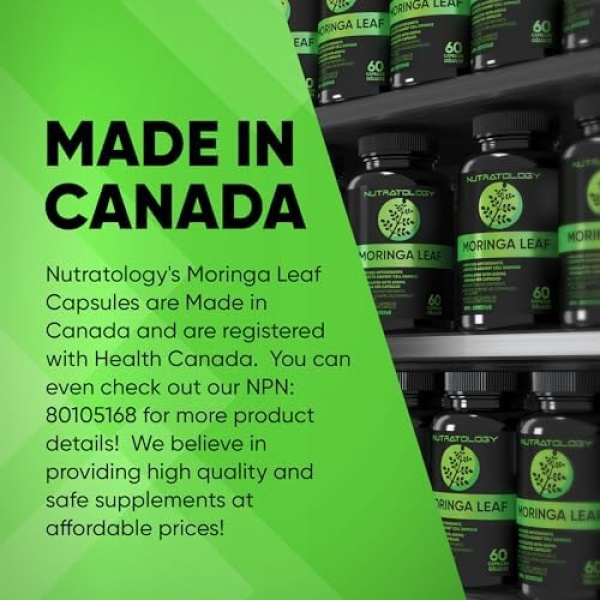 1200MG Organic Moringa Leaf Capsules -Provides Powerful Antioxidants - Image 6