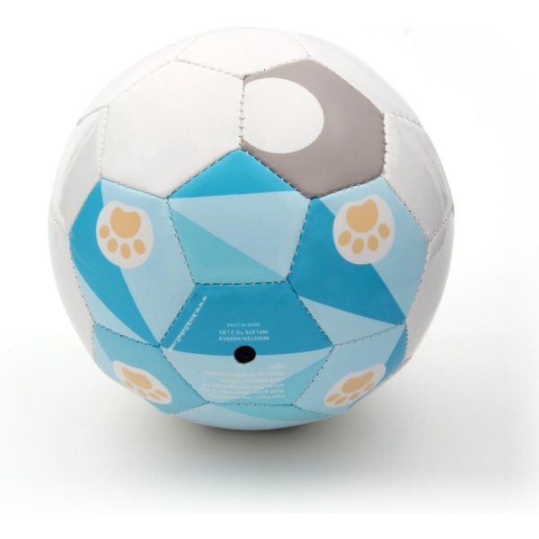 Daball Kid and Toddler Soccer Ball - Size 1, Pump and Gift Box Included - Image 2