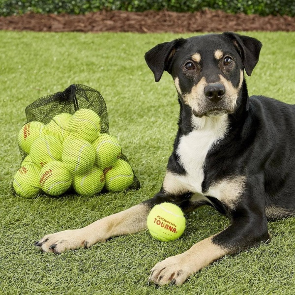 Tourna Mesh Carry Bag of 18 Tennis Balls - Image 5